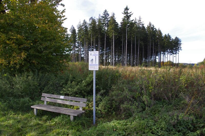 Ruhige Natur mit Wald, Bank, Herbstbaum, Wanderweg und Schild bei klarem Himmel.