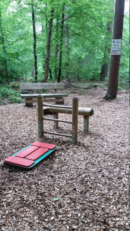 Outdoor-Fitnessbereich im Wald mit Sportgeräten, Bänken und natürlicher Umgebung für Erholung und Sport.