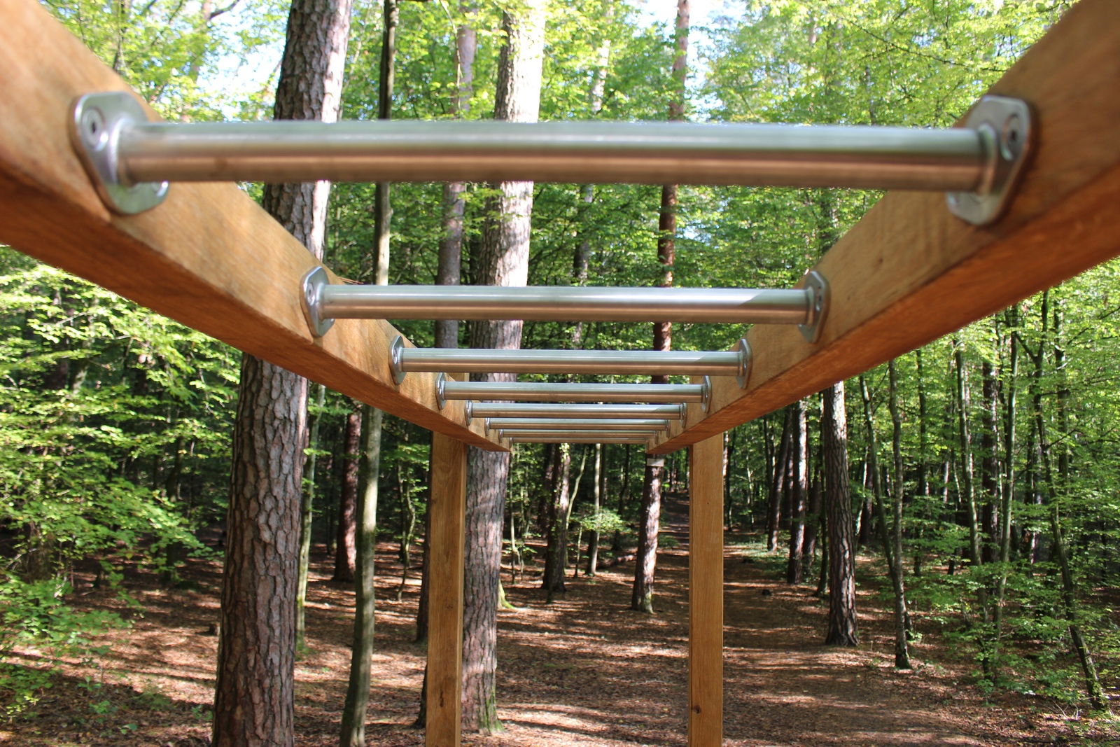 Holz-Spielplatz-Gerät im Wald für Fitness, Spaß und Naturerlebnis.