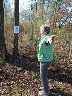 Person in grüner Weste, herbstlicher Wald, Naturaktivität, sonniger Tag, ruhige Umgebung.